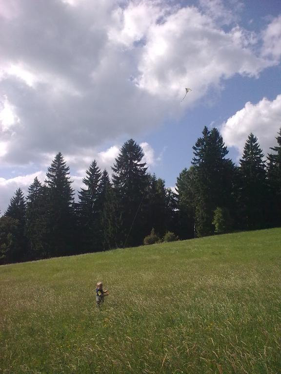 Apartmány Kuřátko Benecko Exterior foto